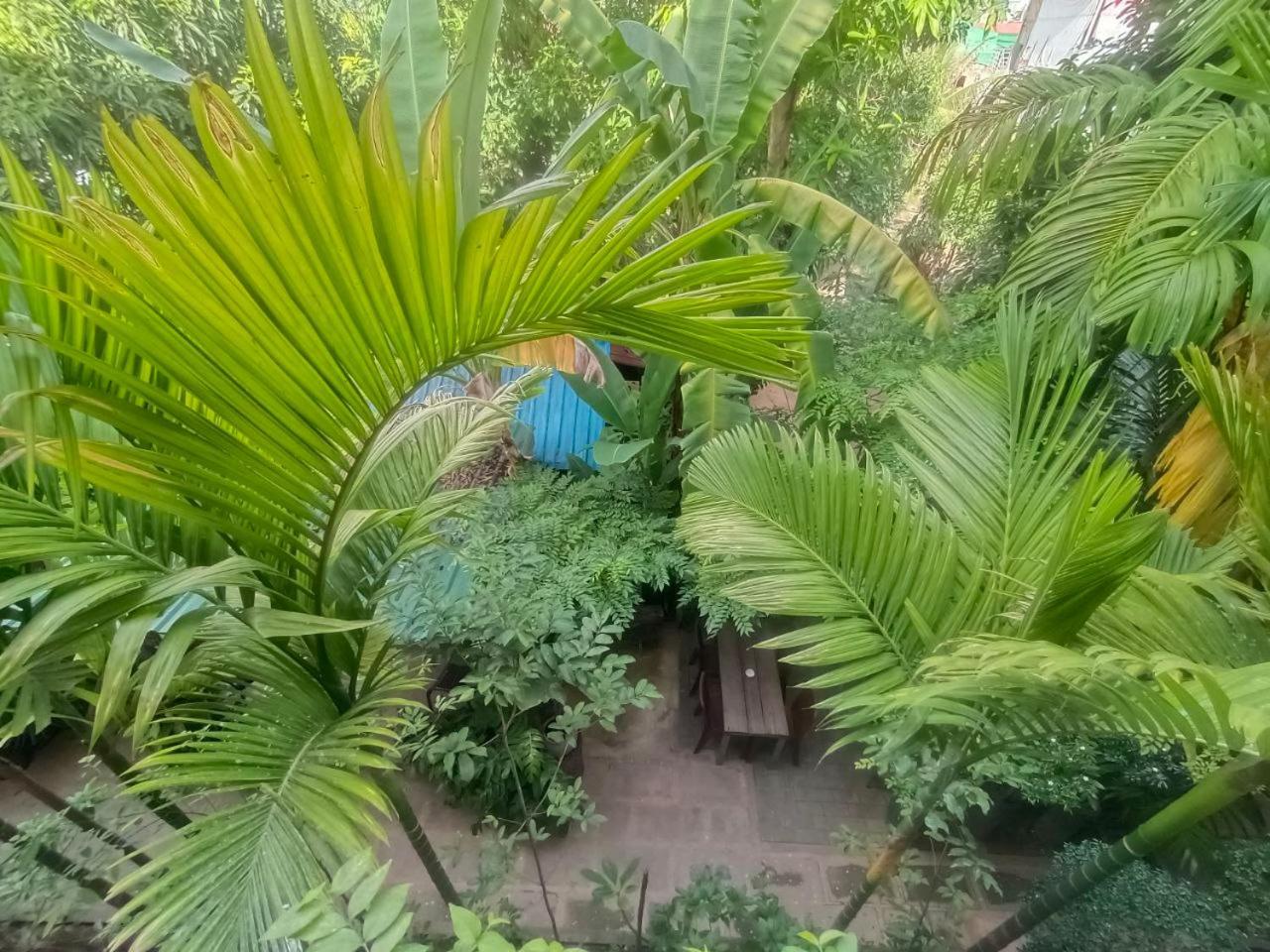 Green Stay Village Siem Reap Dış mekan fotoğraf