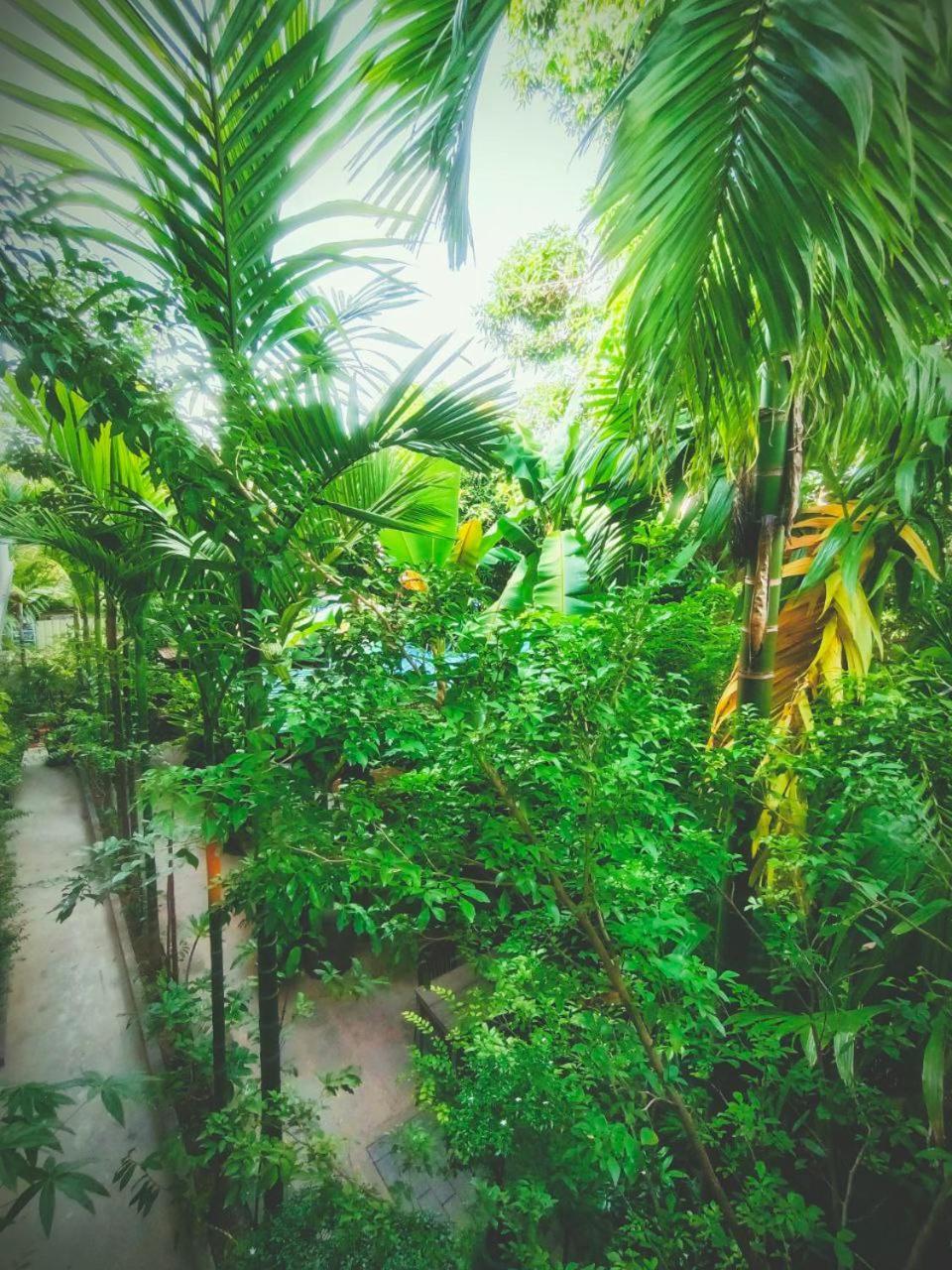 Green Stay Village Siem Reap Dış mekan fotoğraf